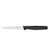Victorinox 5.0733 Boite de 20 Couteaux  10 cm Fibrox Noir