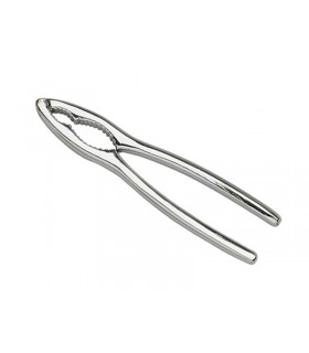 Manufacturer 611 Casse-noix