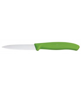 Victorinox 6.7636.l114 Boite de 20 Couteaux office, lame crantée 8 cm inox, pointe milieu, manche polypropylène vert.