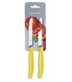 Victorinox 6.7836.l118b Carte de 2 couteaux de table/tomates, lame crantée 11 cm inox, bout rond, manche polypropylène jaune