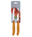 Victorinox 6.7836.l119b Carte de 2 couteaux de table/tomates, lame crantée 11 cm inox, bout rond, manche polypropylène orange