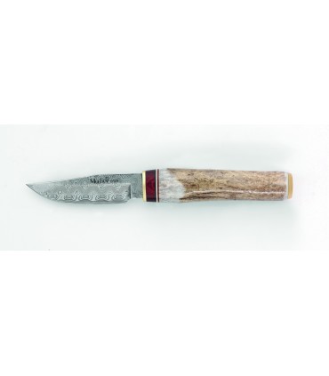Muela 9248 Poignard Bowie, lame 7,5 cm damas inox, manche cerf véritable/stamina,