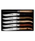 Coffret 6 Couteauxx  G.David 3899