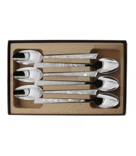 Le Thiers 10106.ct Coffret 6 cuillers de table, 20 cm, tout inox, Décors « Natura » sur man. réalisés par microbillage sélectif