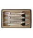 Le Thiers 10106.f Coffret 6 fourchettes, 20 cm, tout inox. Décors « Natura » sur manches réalisés par microbillage sélectif