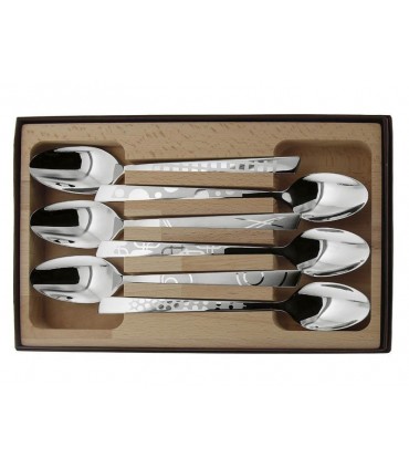 Roger Orfèvre 10107.ct Coffret 6 cuillers de table, 20 cm, tout inox. Décors Maison sur manches réalisés par microbillage