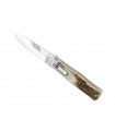 Mikov 241np Couteau Prédator, lame acier inox 420, manche 12 cm cerf véritable