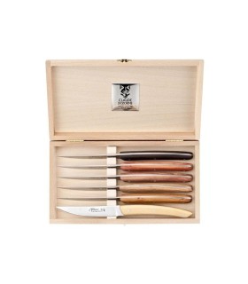 dozome 3250 coffret de table inox manche 23 cm assortis