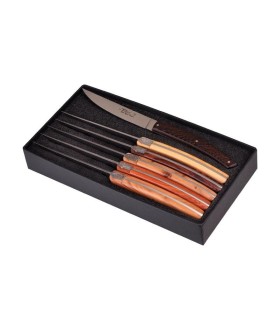 goyon-chazeau 6877 coffret de table acier X46CR13 mat manche 23 cm divers