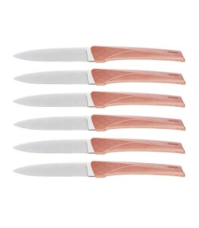 florinox kia6.t couteau acier X35Cr16N manche 23 cm terracotta