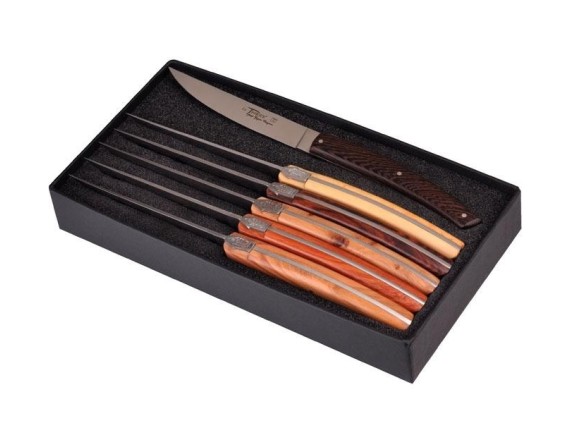 goyon-chazeau 6877 coffret de table acier X46CR13 mat manche 23 cm divers