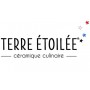 Terre etoile